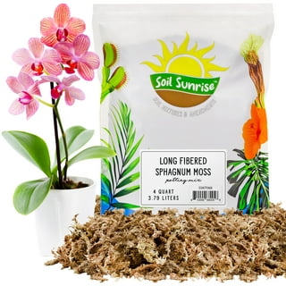 Sukh 5oz Sphagnum Moss for Plants - Sphagnum Peat Moss Natural Long Fibered  Dried Moss Potting for Orchids Succulent Carnivorous Potted Plant Reptiles