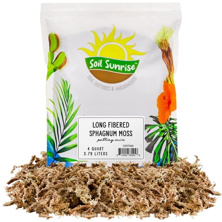 Long Fibered Sphagnum Peat Moss (4 Quarts), All Natural Dried Moss for Orchids, Carnivorous Plants, Decorating, Terrariums