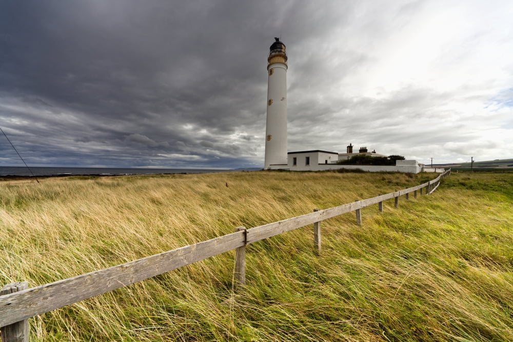 Long Grass Blowing In The Wind Beside Barns Ness Lighthouse Scottish Borders Scotland Canvas Art - John Short Design Pics (19 x 12)