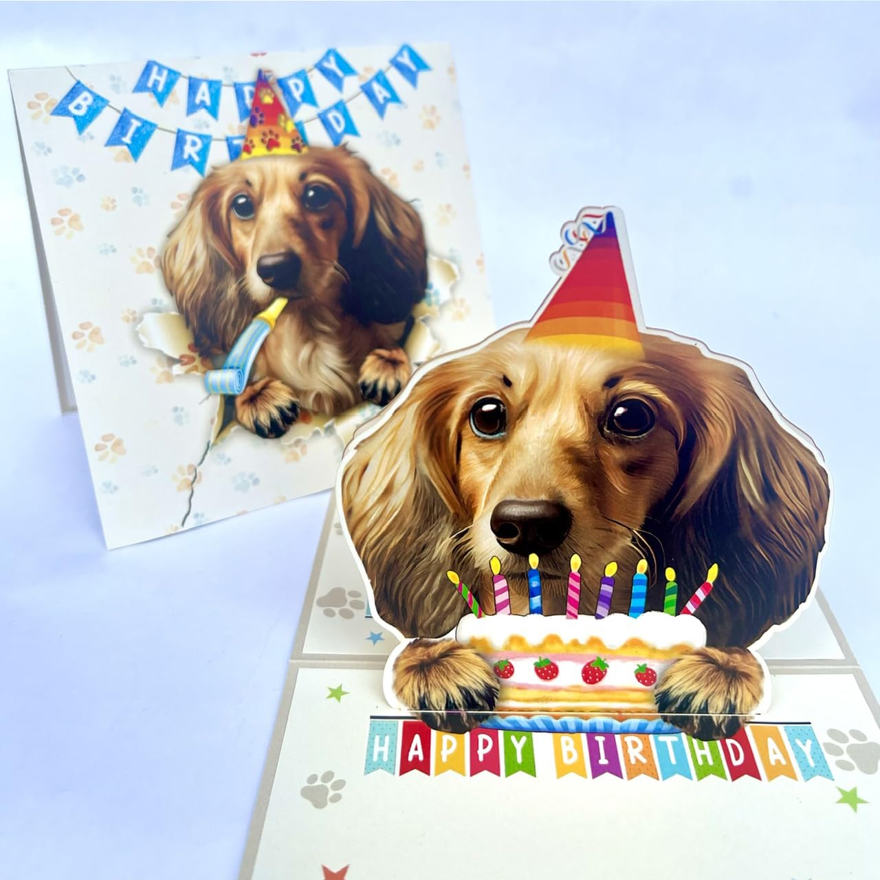 Long Haired Dachshund Pop Up Birthday Card, 3D Dog Holding Cake and ...