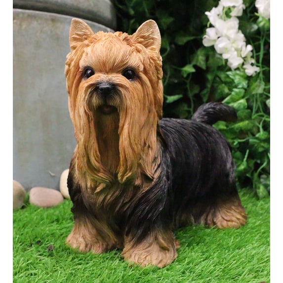 Long Haired Yorkie Statue 11.5"L Pet Pal Yorkshire Terrier Dog Figurine Decor