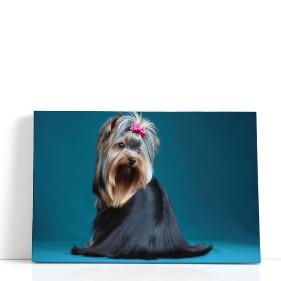 Long Haired Yorkshire Terrier on A Turquoise Background - Wrapped Canvas Print Wall Art | 18" W x 12" H