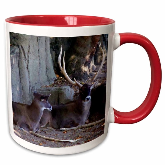 3drose, Long Horn Deer, 11oz Two-tone Red Mug