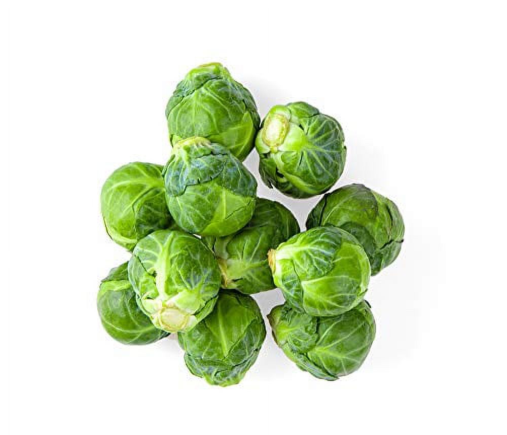 Long Island Improved Brussel Sprout Seeds, 200 Heirloom Seeds Per