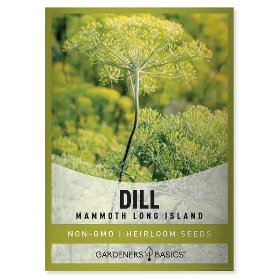 Long Island Mammoth Dill Seeds