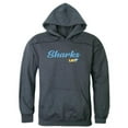 thumbnail image 1 of Long Island University Script Hoodie, Heather Charcoal - Large, 1 of 1