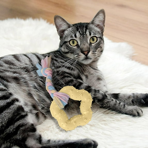 Long-Lasting Dog Chew Toy, Bone for Aggressive Chewers, Interactive Teeth Cleaning, Puppy Teething, All Sizes