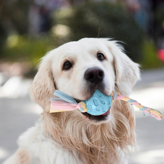Long-Lasting Dog Chew Bone, Interactive Teeth Cleaning, for Aggressive Chewers, Puppy Teething, All Sizes