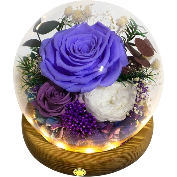 Long-Lasting Real Flowers, Unique Floral Gift For you to send Love for All Occasions, for Indoor Decoration (Violet Rose, Purple & White Austin Roses)