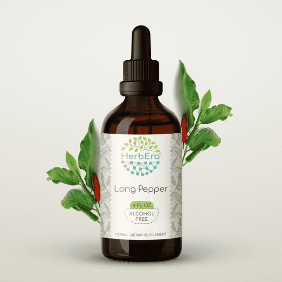 HerbEra Long Pepper Tincture, Herbal Dietary Supplement for Digestive Support, Long Pepper (Piper longum) Dried Pepper Extract, Natural, Alcohol-Free, Drops 4 oz
