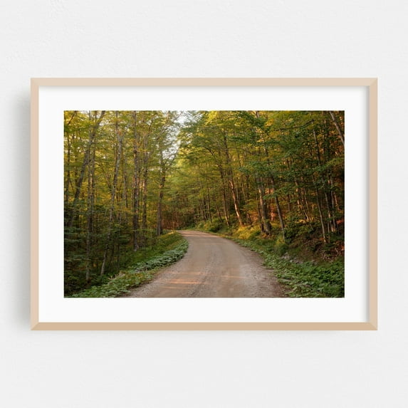 Long Pond Road, Westmore - Westmore Vermont Photography Forest Nature Woods Woodland Scenic Rural Landscape Oak Framed Wall Art Print 12 x 18 inches