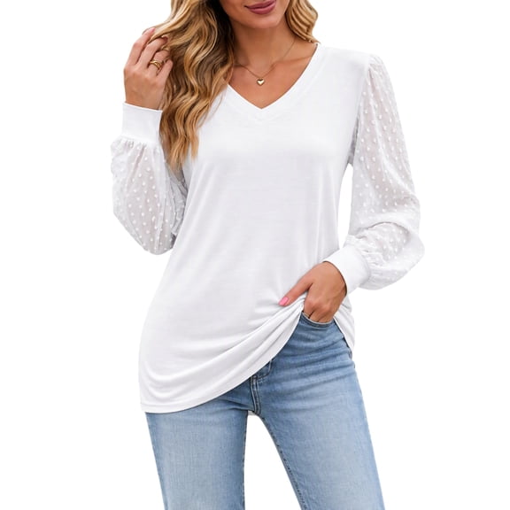 Long Puff Sleeve Shirts for Women V Neck Swiss Dot Mesh Casual Tunic Tops Fall Dressy Blouses
