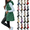 thumbnail image 1 of Long Puffer Vest Women Sleeveless Full Zip Up Puffy Jackets Quilted Padded Fall Coats Winter Outerwear Light pink S, 1 of 9