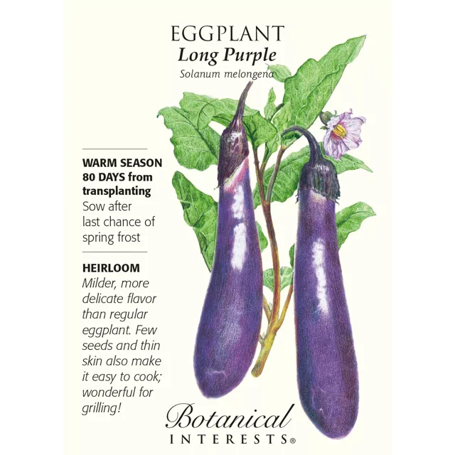 Long Purple Eggplant Seeds - 500 Mg - Heirloom - Walmart.com