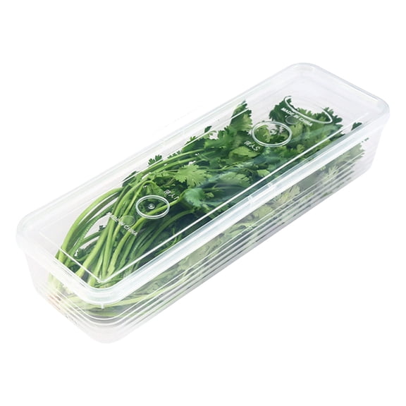 Long Rectangular Sealable Plastic Storage Box For Freshness Preservation In Kitchen Cabinets And Refrigerators