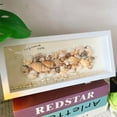 thumbnail image 1 of Long Shadow Box Frame Display Case Kit, 4x14.6" Rectangle 3D Frame with Shell for Beach Shells and Dried Flowers, Panoramic Wall Art for Home Decor, 1 of 7