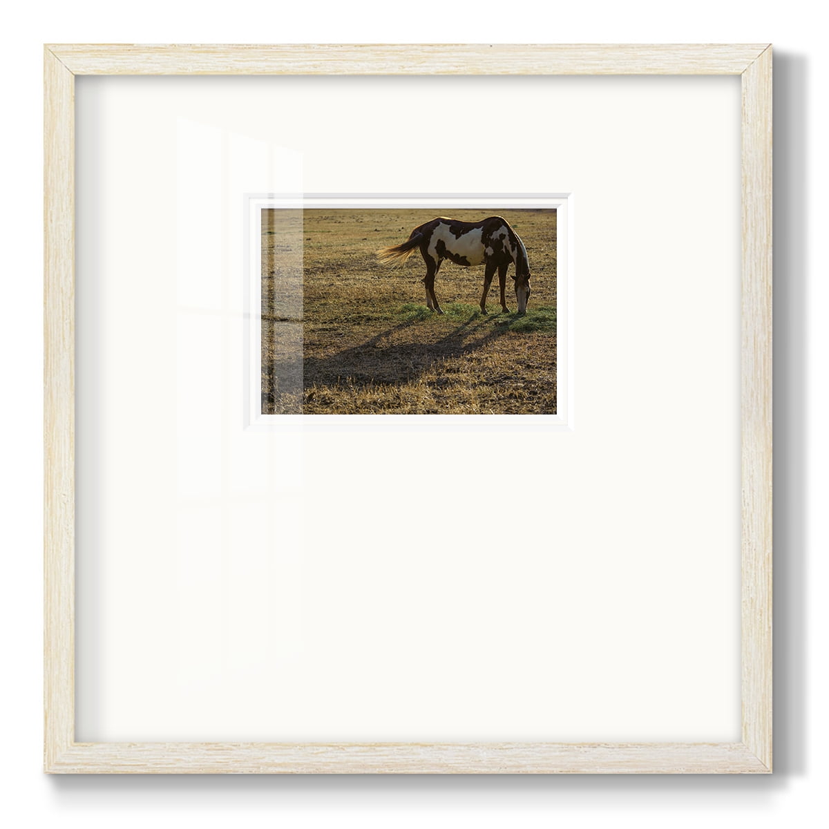 Long ShadowPremium Framed Print
