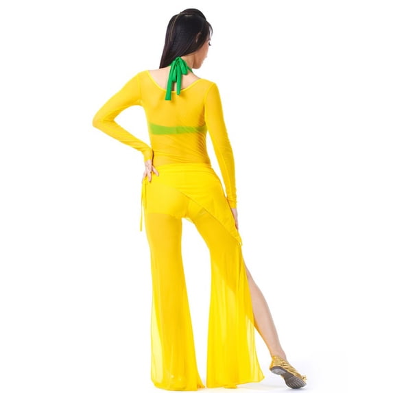 Long Sleeve Bodycon Gauze Top Sheer Pure Mesh T Shirts Sexy Adult Bellydance Costumes Carnival Outfit Open Bust Leotard,Leotard,Yellow,3- BTS/Fall,Semi-Opaque