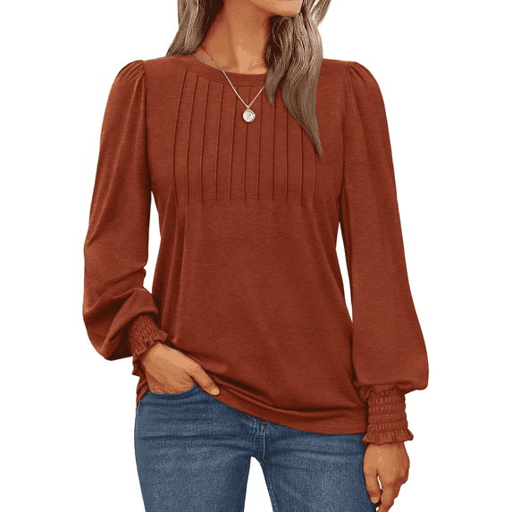 SOMER Womens Tops Long Sleeve Shirts Dressy Casual Blouse Pleated Puff Tunic Tops for Going Out,2025 Fall