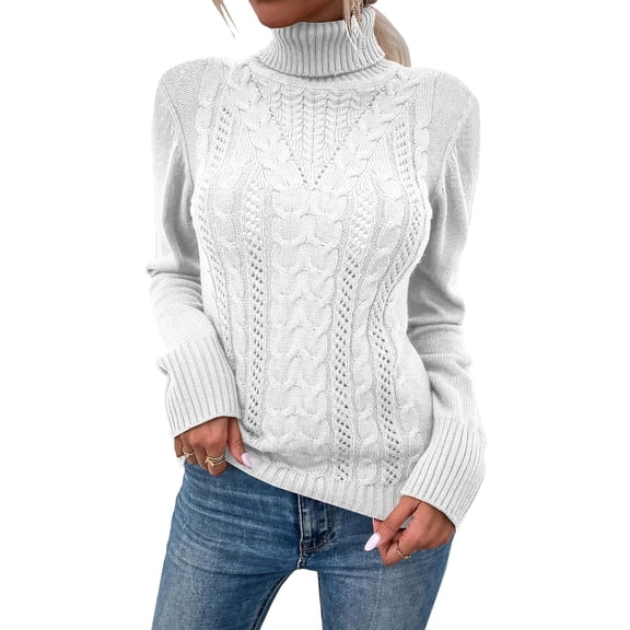 Long Sleeved Women Fall Winter Turtleneck Slim Sweater Solid Casual Knit Pullovers
