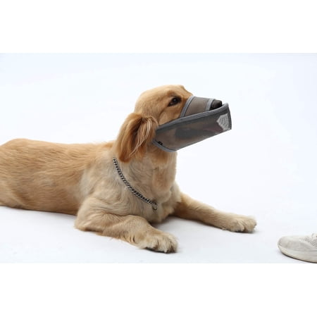 Long Snout Dog Muzzles- Adjustable Breathable Mesh Muzzle for Biting Chewing Barking Training Grooming Dog Mask,Gray S