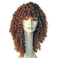 thumbnail image 1 of Long Spring Curl Wig, 1 of 2