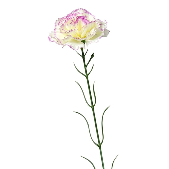 Long Stem Silk Carnation for Wedding Centerpiece Bridal Bouquet Home Garden Decor