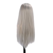Long Straight Hair Wig Middle Part High Density Full Headnet Heat Resistant Silvery White Wig for Women 10 inches / 25.4 cm