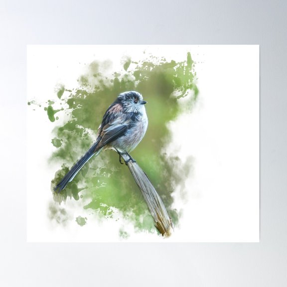Long Tailed Tit Poster Wall Art, Modern Wall Decor For Living Room Bedroom, 16x24 UNFRAMED