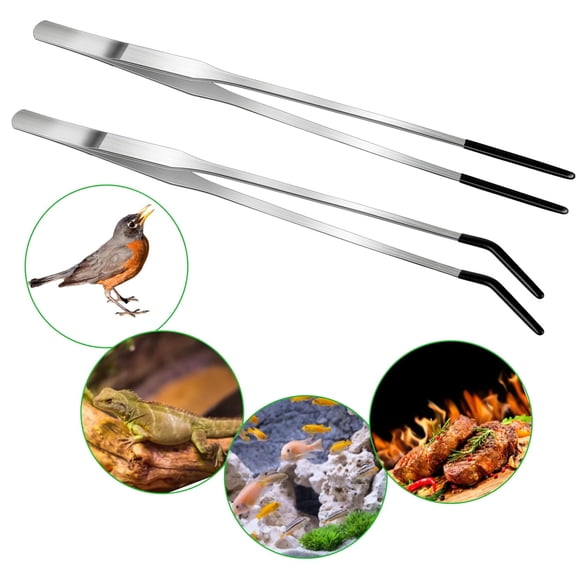 Long Tweezers 2PCS Feeding Tongs 15 Inch Stainless Steel Curved Straight Reptile Tool