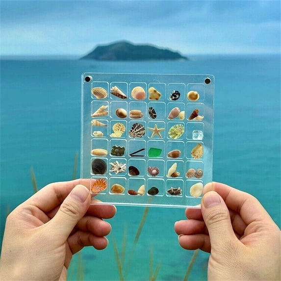 LongDay Acrylic Magnetic Seashell Display Box, Seashell Storage Box Display Case Decorative Seashell Starfish Trinket, Small Craft Organizers Container for Bead, Nail, Jewelry