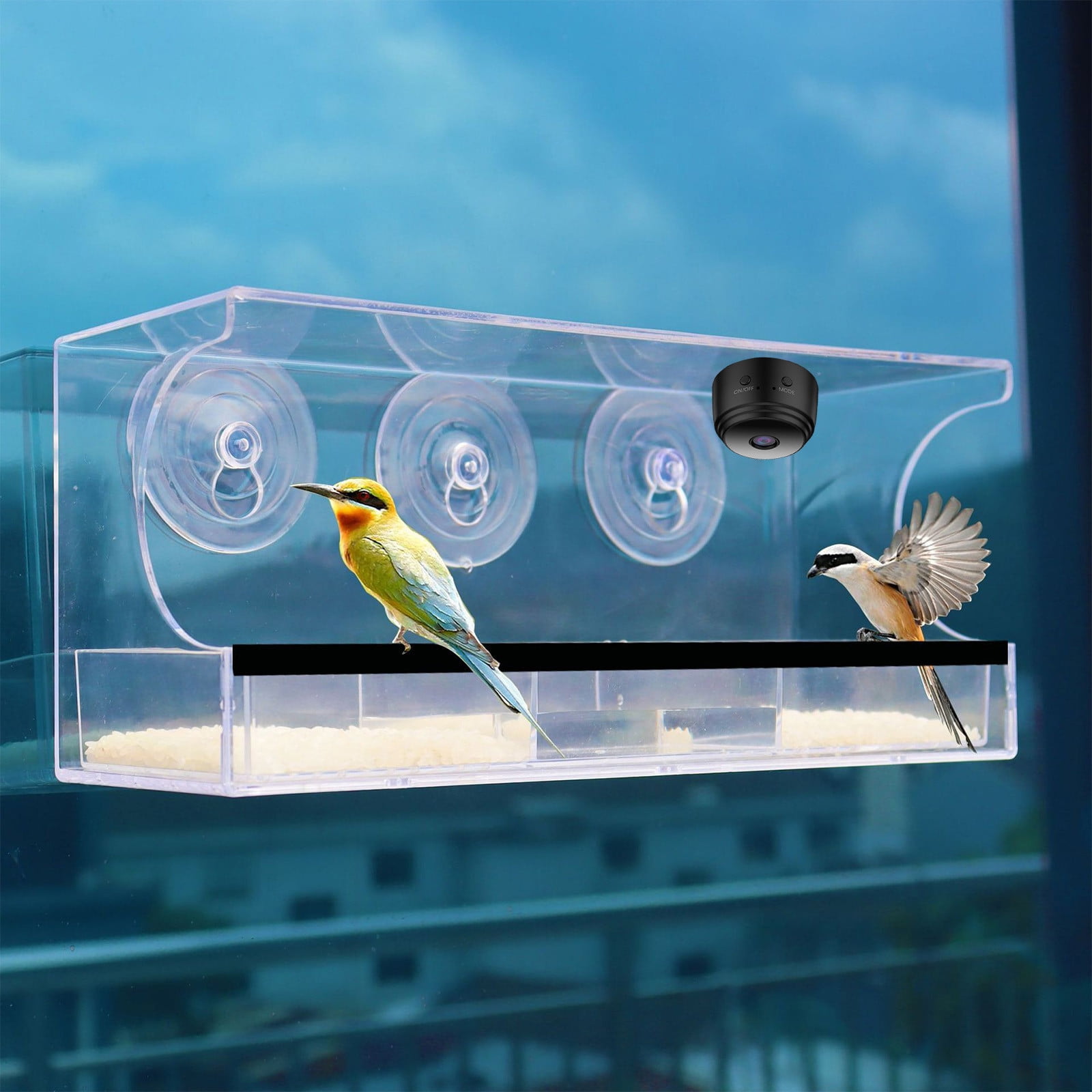 LongHanMao Smart Bird Feeder with Camera Solar Powered, AI Identify Bird Species 1080 HD Auto Capture Bird Feeder Camera, Real Time Views and Notifications, Gift for Bird Lovers