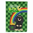 thumbnail image 1 of Longhair Black and Cream Dachshund St. Patrick's Day Flag Garden Size 11.25 in x 15.5 in, 1 of 3