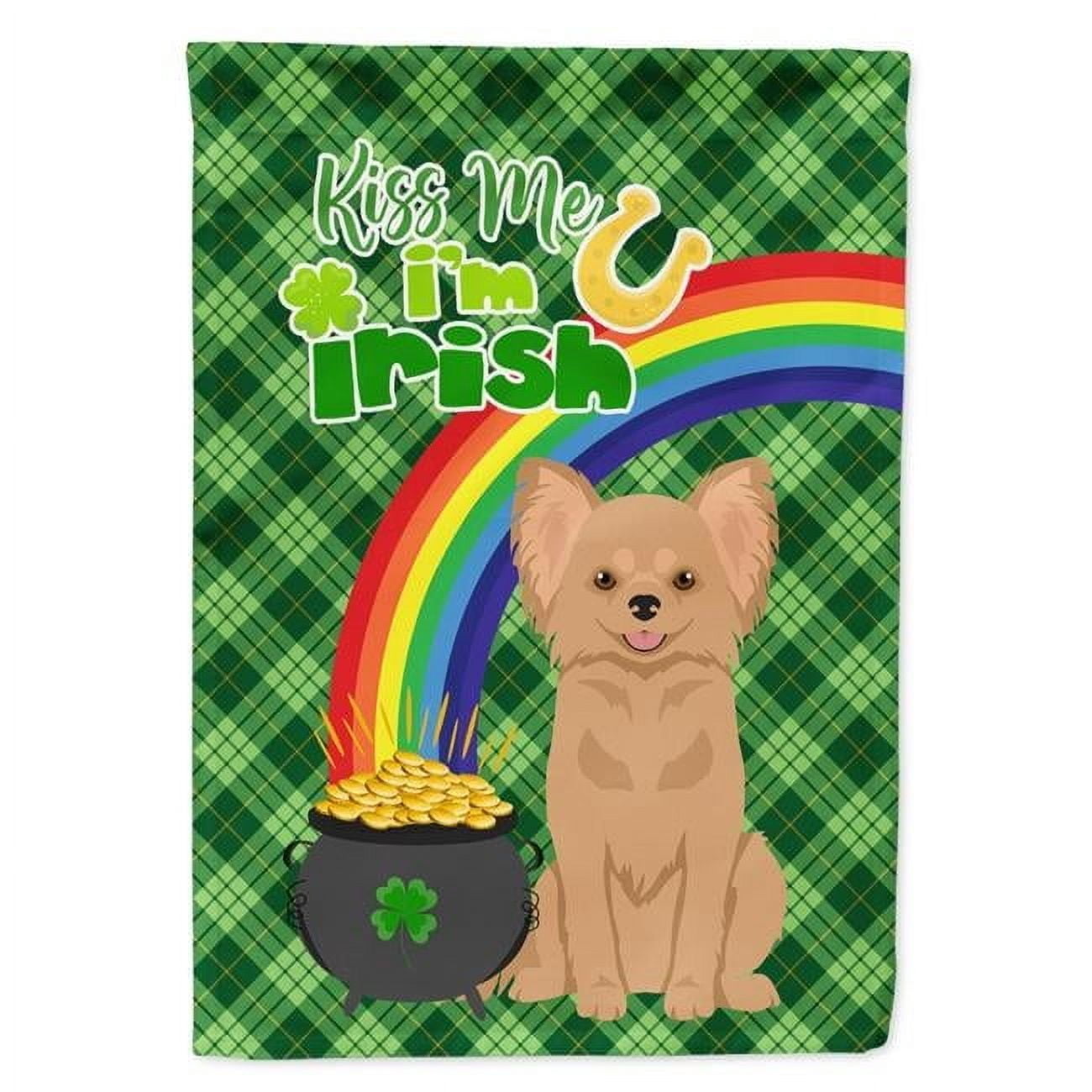 Longhaired Gold Chihuahua St. Patrick's Day Flag Garden Size 11.25 in x 15.5 in