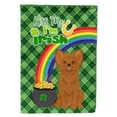 thumbnail image 1 of Longhaired Red Chihuahua St. Patricks Day Flag Garden Size, 1 of 3