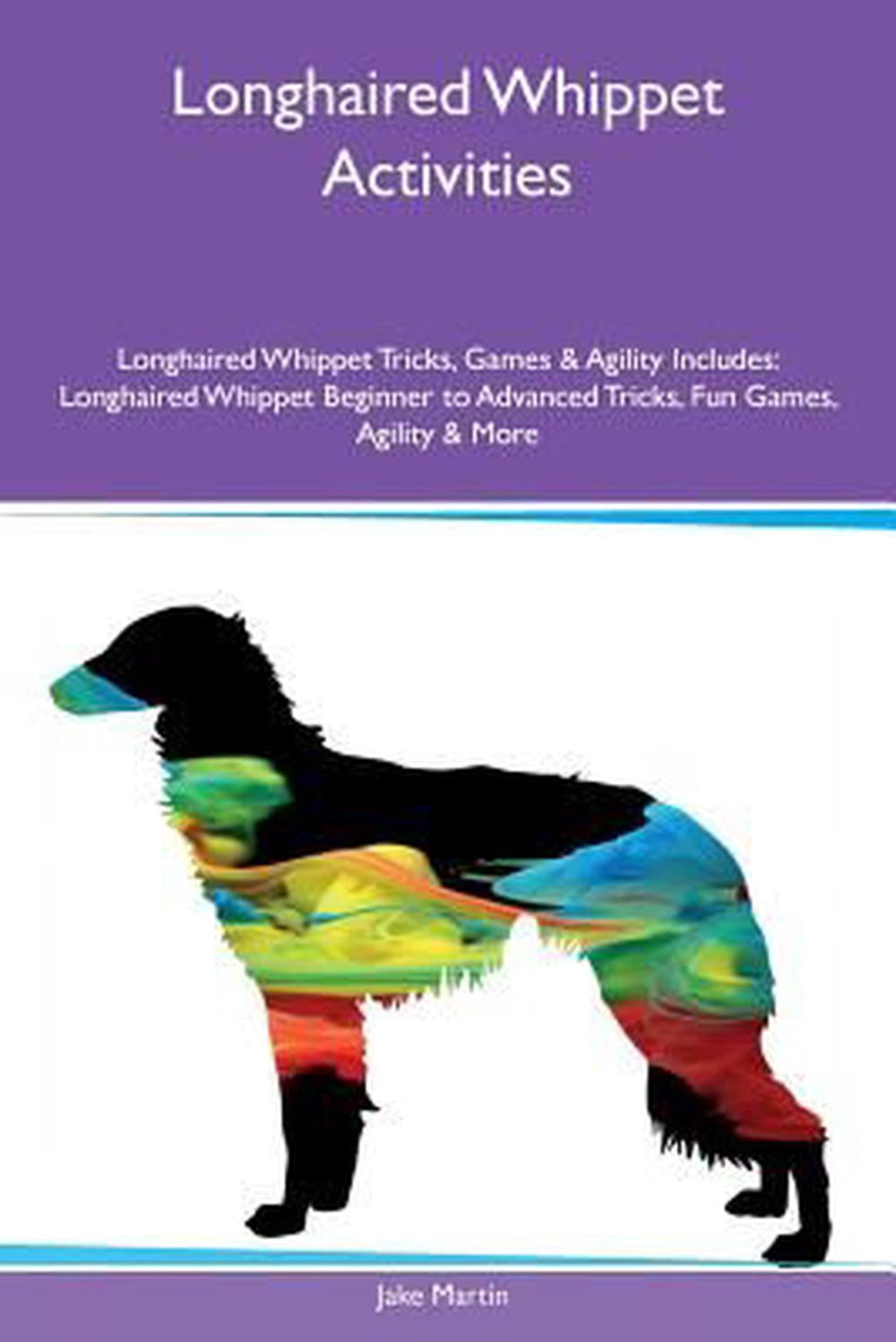 Longhaired Whippet Activities Longhaired Whippet Tricks, Games & Agility Includes : Longhaired Whippet Beginner to Advanced Tricks, Fun Games, Agility & More