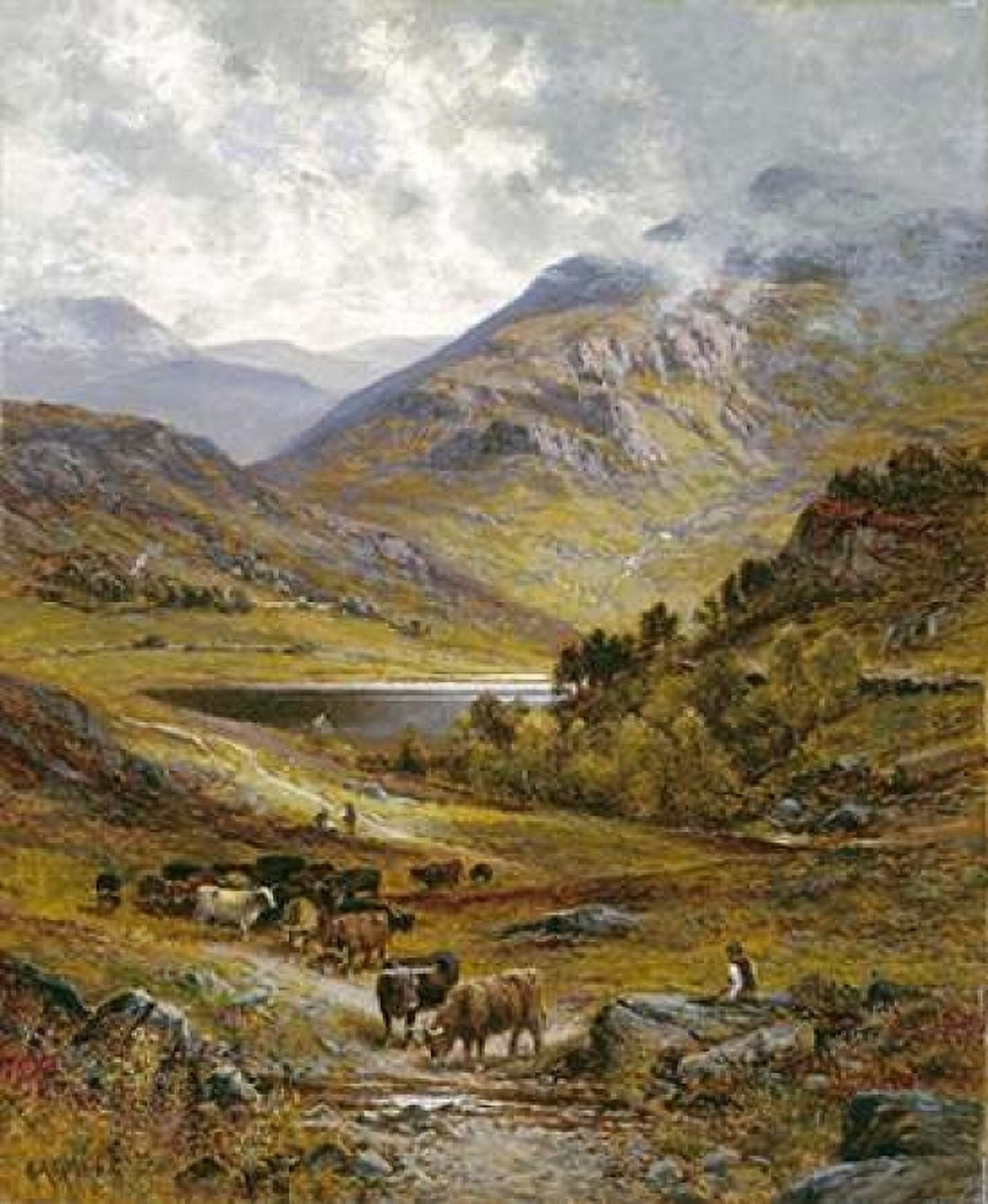 Longhorn Cattle Canvas Art - Alfred Augustus Glendening (20 x 24)
