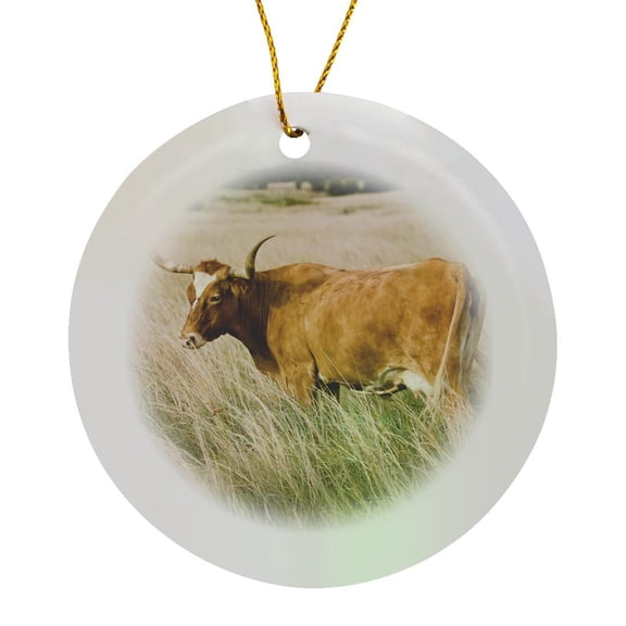 3drose, Longhorn Cow, Wichita Mountains Nwr, Oklahoma - Us37 Ldi0028 - Larry Ditto, Circle Porcelain Ornament