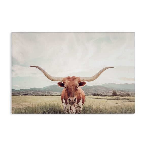 Stupell Industries Longhorn Portrait Open Meadow Canvas Wall Art, design by Sisi and Seb