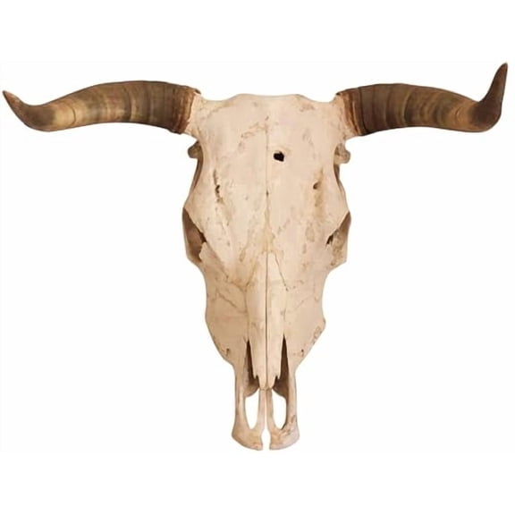 Longhorn Skull Edible Image Icing Cake Topper for Quarter Sheet Cake, by TNCT