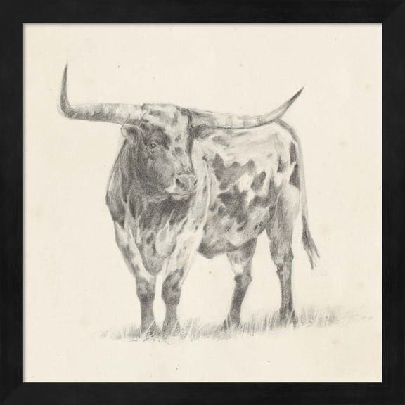 Longhorn Steer Sketch II by Ethan Harper, Framed Wall Art, 13.25W x 13.25H