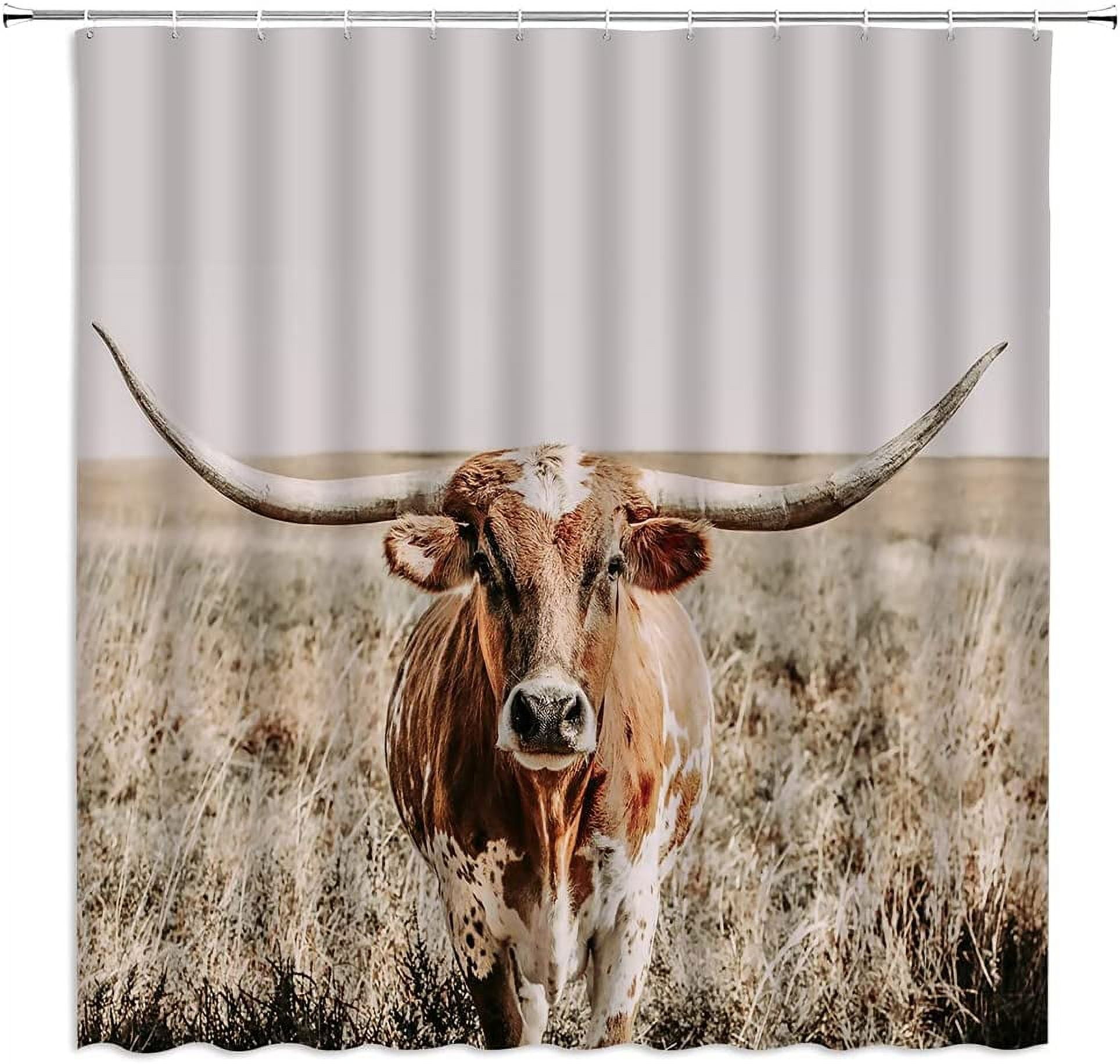 Texas steer cheap