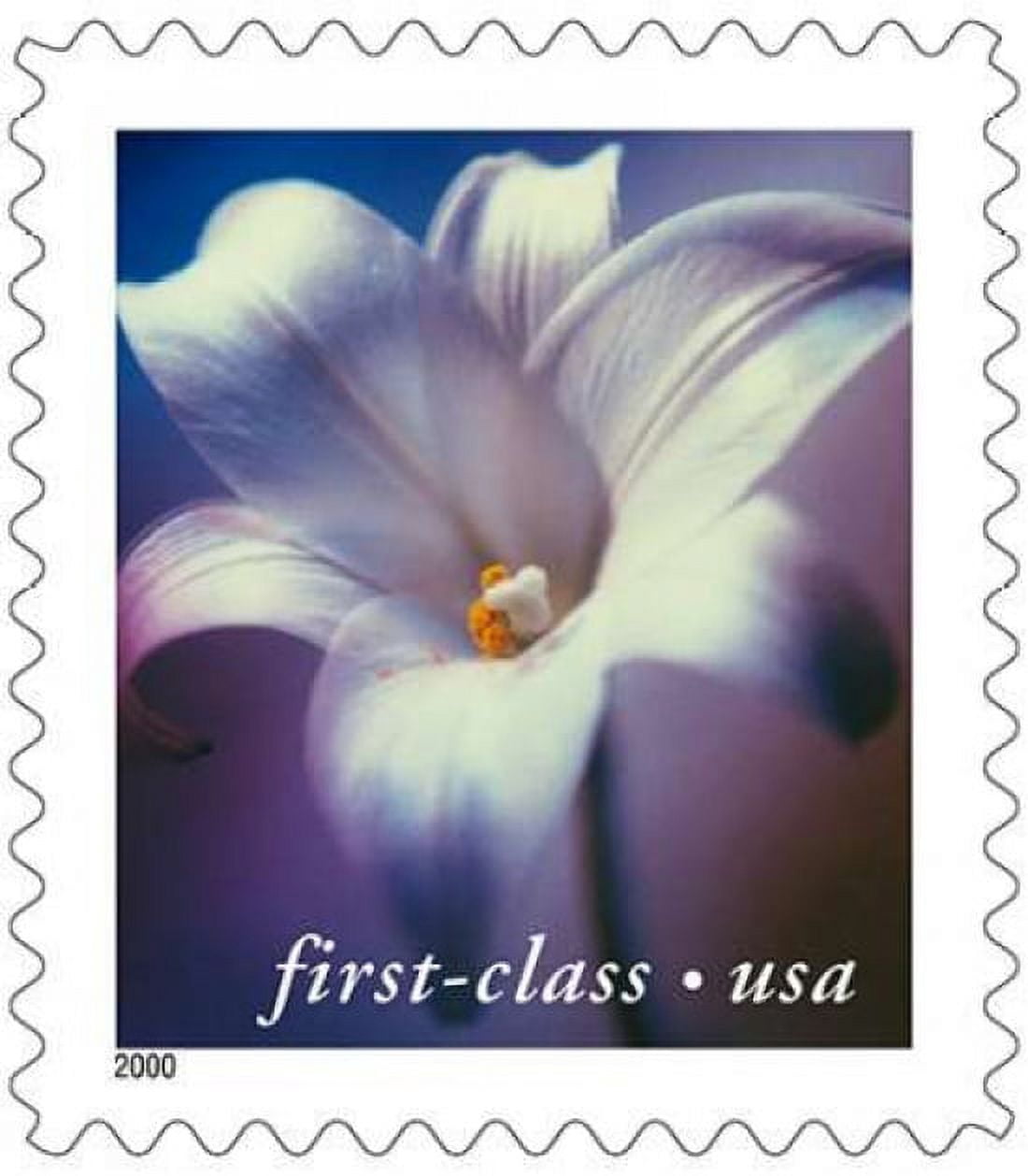 Longiflorum Lily Canvas Art - US POSTAL SERVICE (24 x 24)