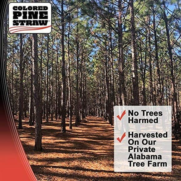 Pine Straw in Mulch - Walmart.com