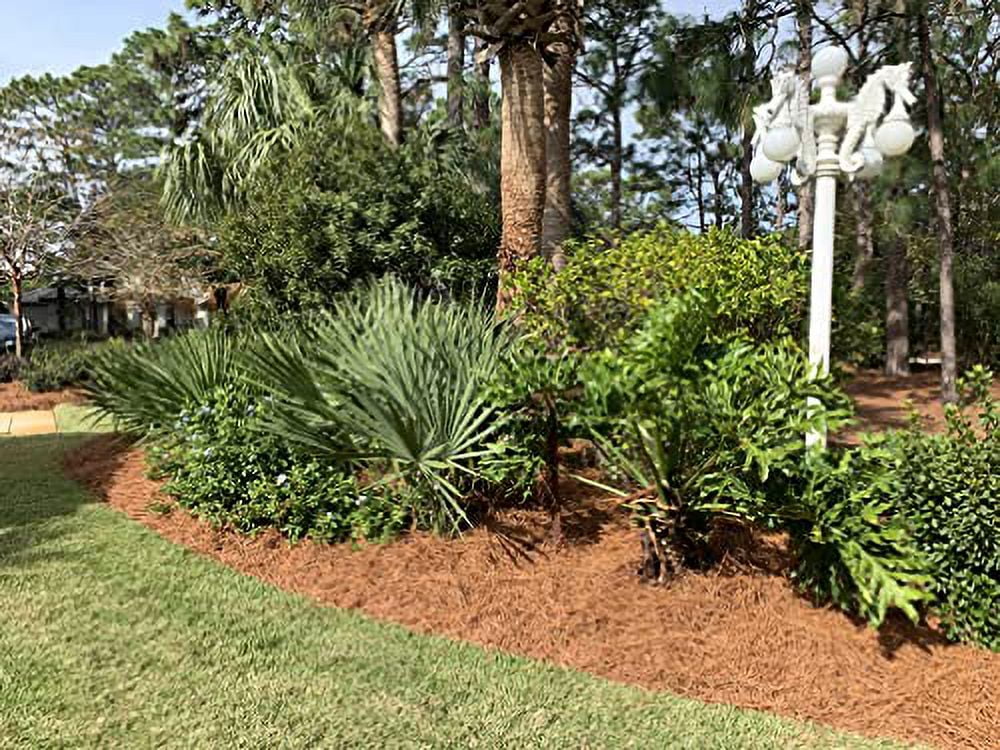 Longleaf Pine Straw Roll for Landscaping NonColored Covers Up to