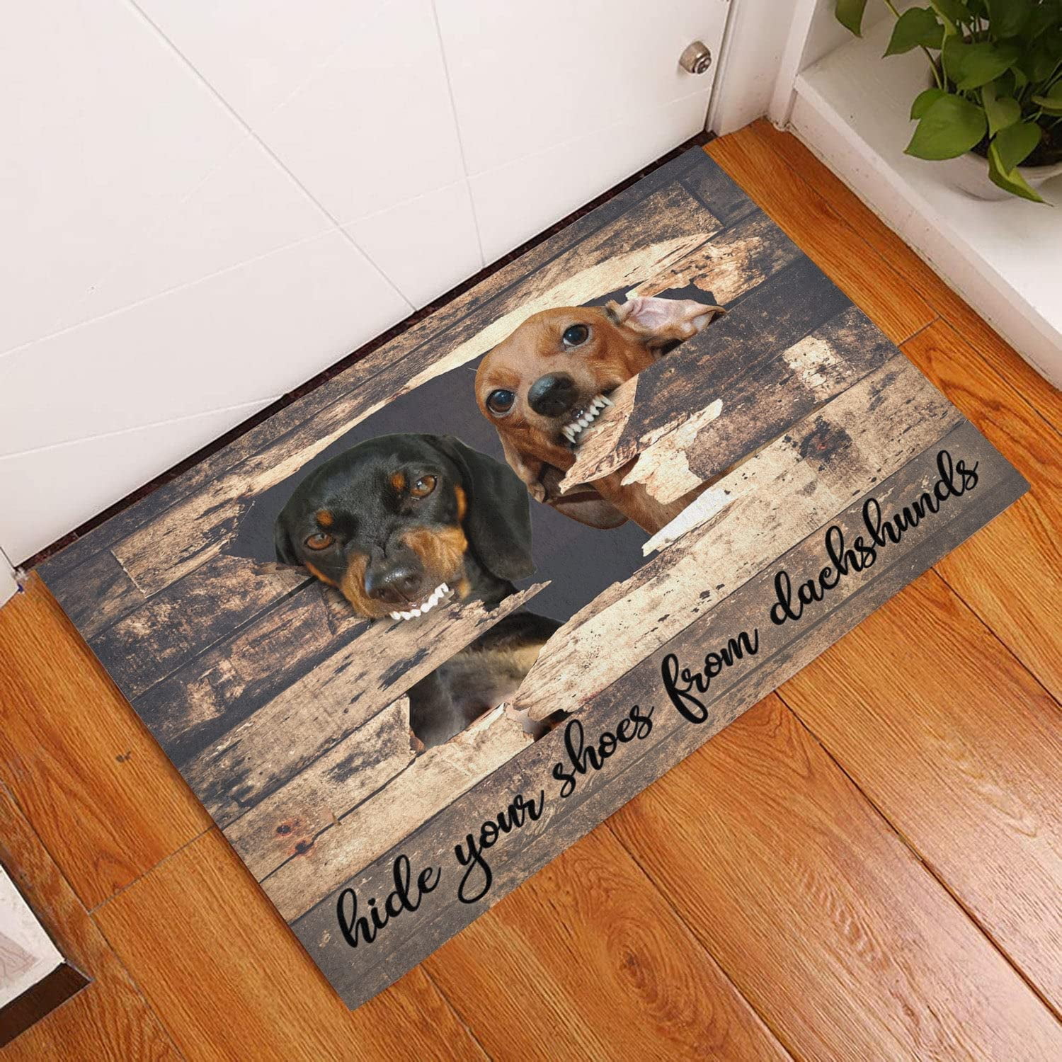 Lonkogqi Door Mats Hide Your Shoes From Dachshunds Indoor