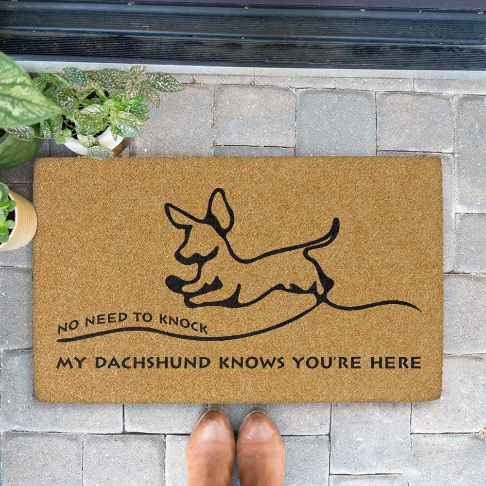 Lonkogqi Door Mats No Need to Knock My Dachshund Knows You'Re