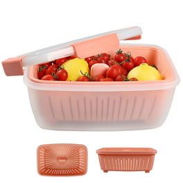 https://i5.walmartimages.com/seo/Loobuu-68oz-Berry-Keeper-Container-Fruit-Produce-Saver-Food-Storage-Containers-Removable-Drain-Colanders-Vegetable-Fresh-Set-Refrigerator-Organizer_feb23d3e-6baf-4e97-a92d-e56a8f618737.766dcbf980117dd14c0023211f7f033a.jpeg?odnHeight=264&odnWidth=264&odnBg=FFFFFF