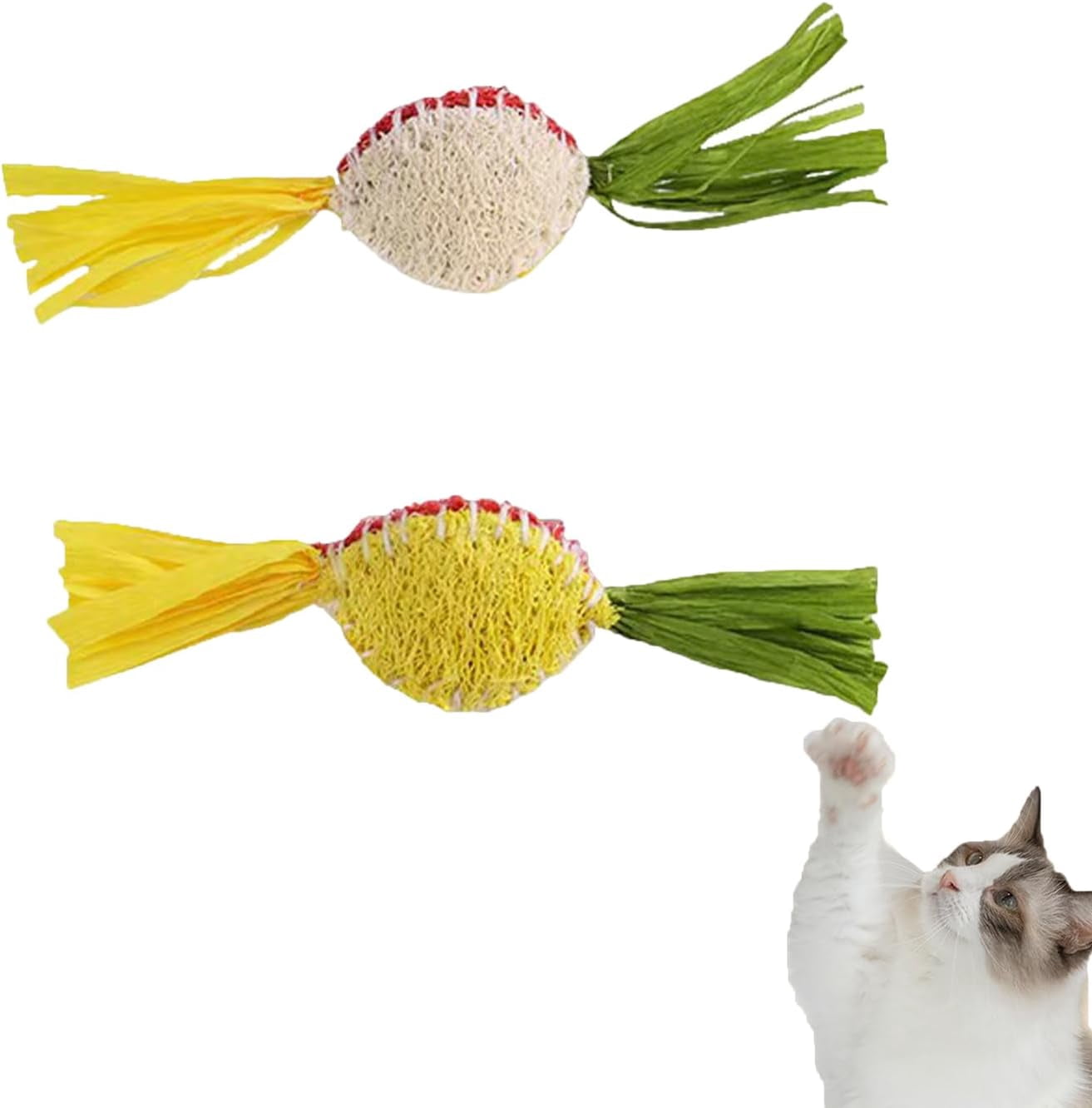 Loofah Cat Chew Toy with Catnip, Interactive Play for Indoor Cats