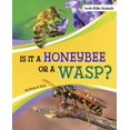 thumbnail image 1 of Look-Alike Animals Is It a Honeybee or a Wasp?, (Hardcover), 1 of 1